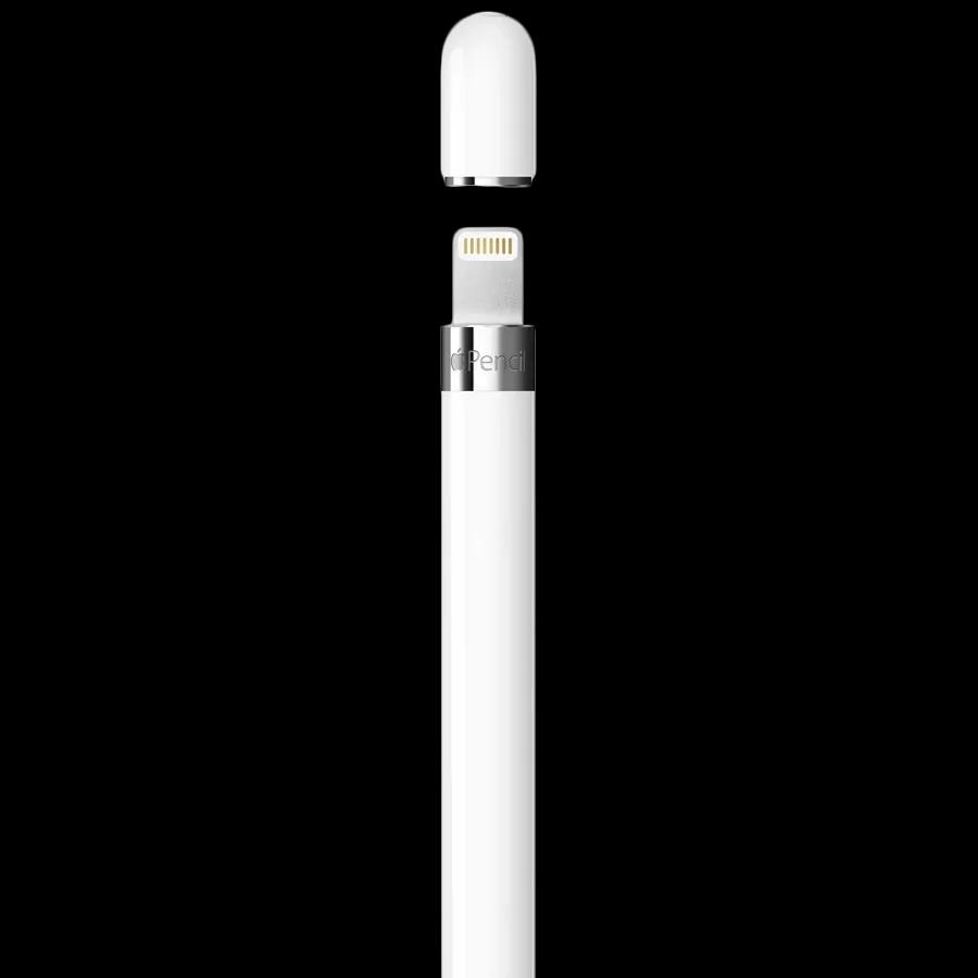 Apple Pencil (1st generation)