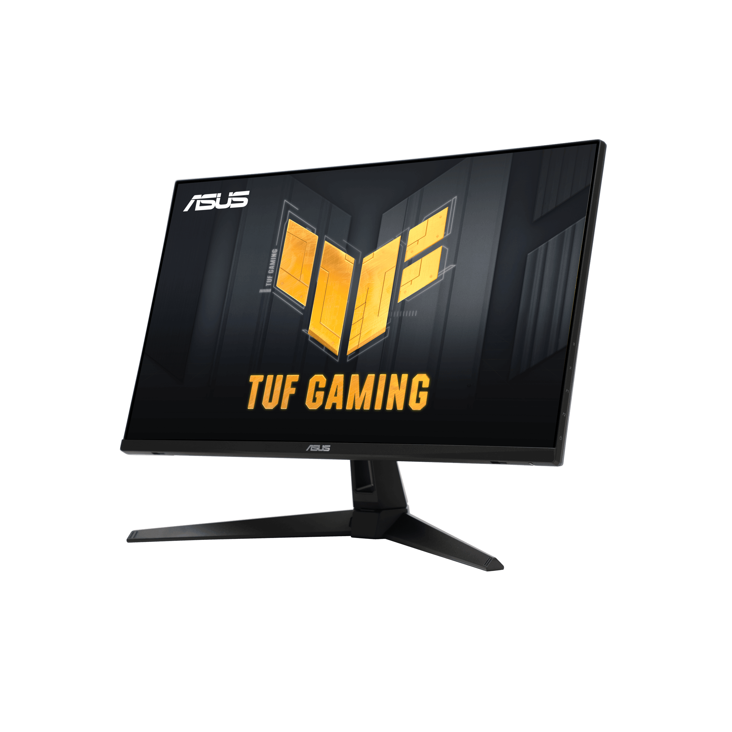 HP Monitor