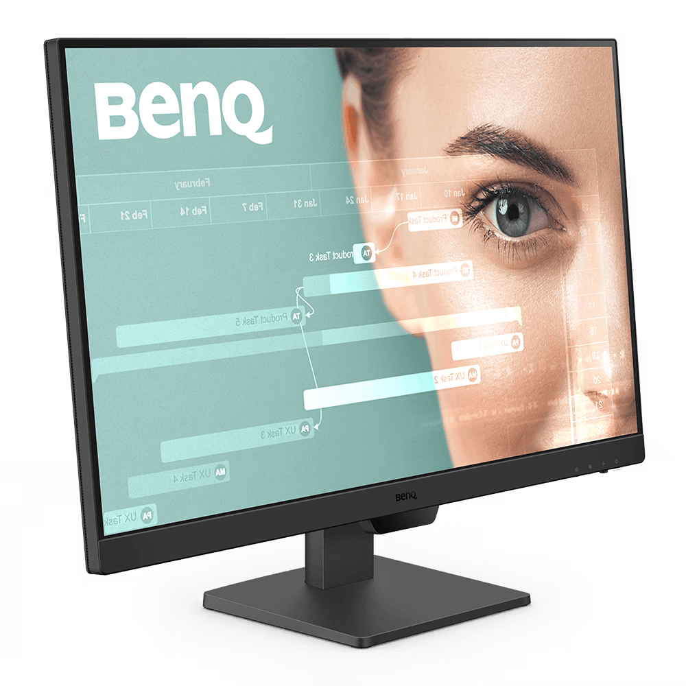 HP Monitor