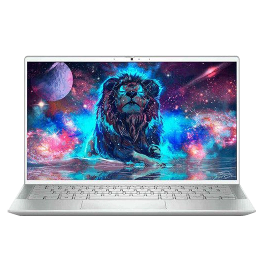 Dell Inspiron 13 7300 (11th Gen i7-1165G7 | Intel Iris Xe)