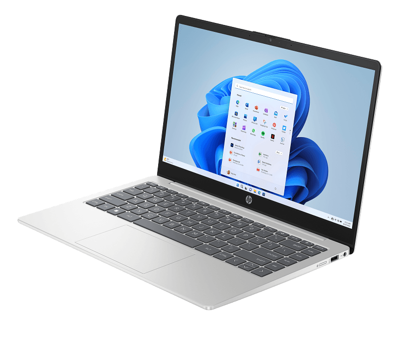 HP Monitor