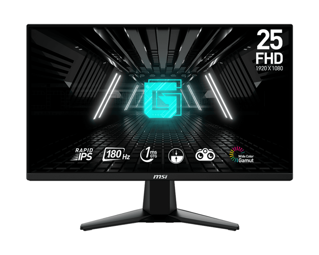 HP Monitor