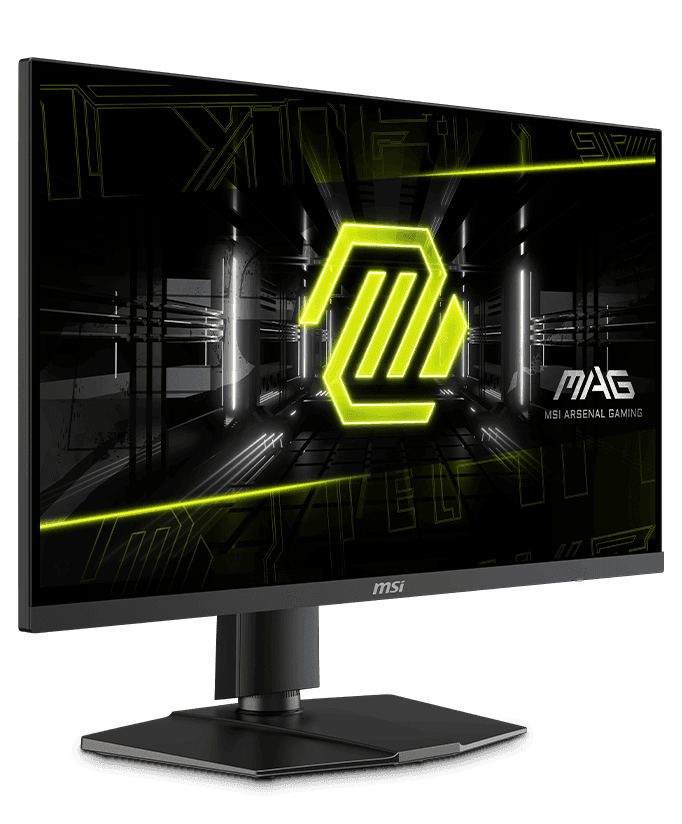 HP Monitor