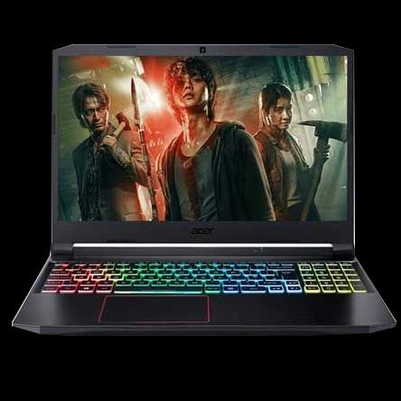 Acer Nitro 5 2021 (Ryzen 5 5600H | GTX 1650)