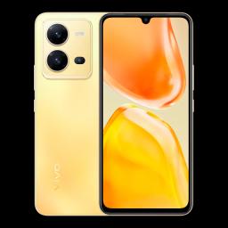 Vivo V25 5G